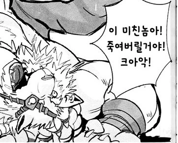 [lol] 갱 다니는 만화 - 이미지 11