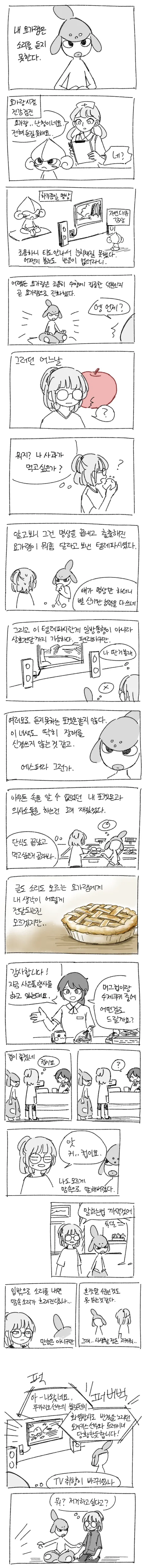 [포켓몬]내 요가램은 소리를 듣지 못한다.manhwa