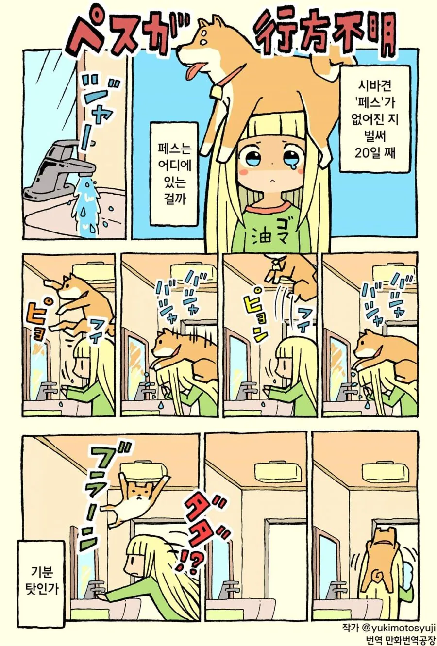 키우던 강아지가 행방불명 된 만화.manwha