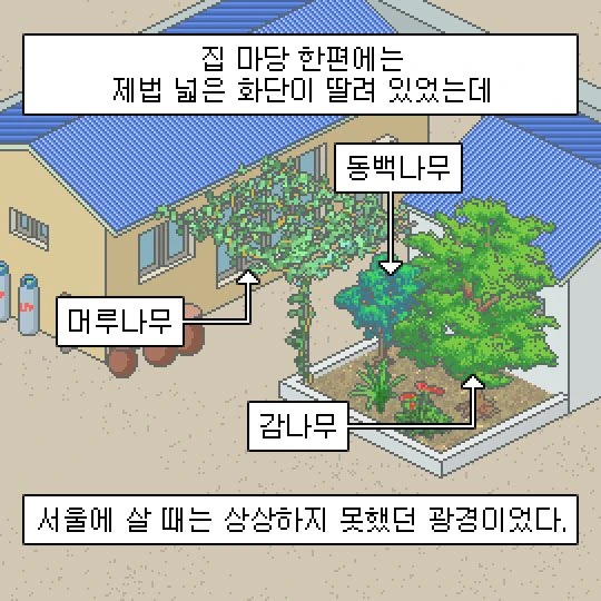 성이 선우고 이름이 훈인 만화.manhwa - 이미지 21