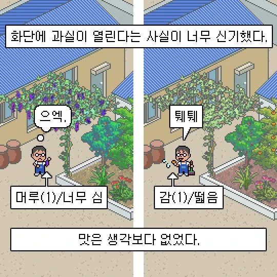 성이 선우고 이름이 훈인 만화.manhwa - 이미지 24