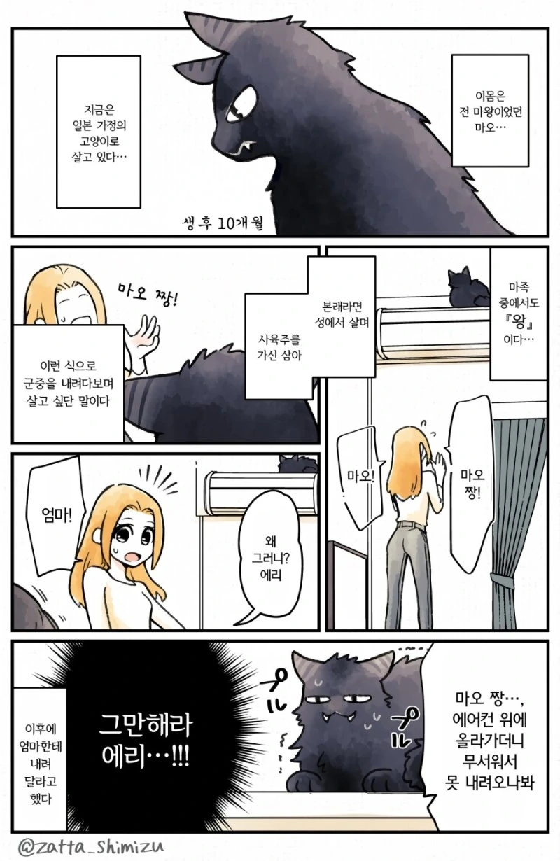 고양이들의 혐성에 숨겨진 비밀.Manga - 이미지 3