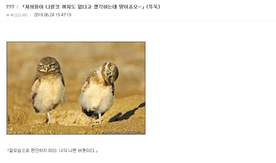 소년 만화 클리셰 모음집.jpg