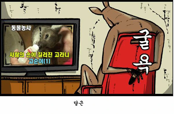 고라니 고문 하는 만화 - 이미지 5