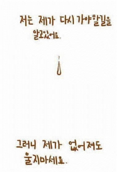 개가 늙어서 죽을 때... - 이미지 5