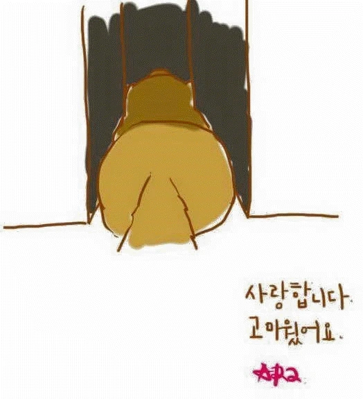 개가 늙어서 죽을 때... - 이미지 6