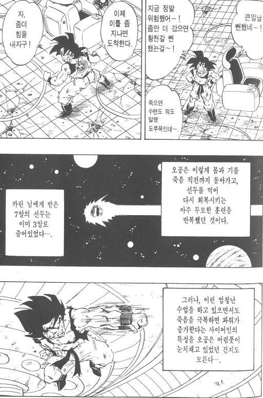 [드래곤볼]자신을 몰아붙이면서 훈련을 하는 손오공 - 이미지 4
