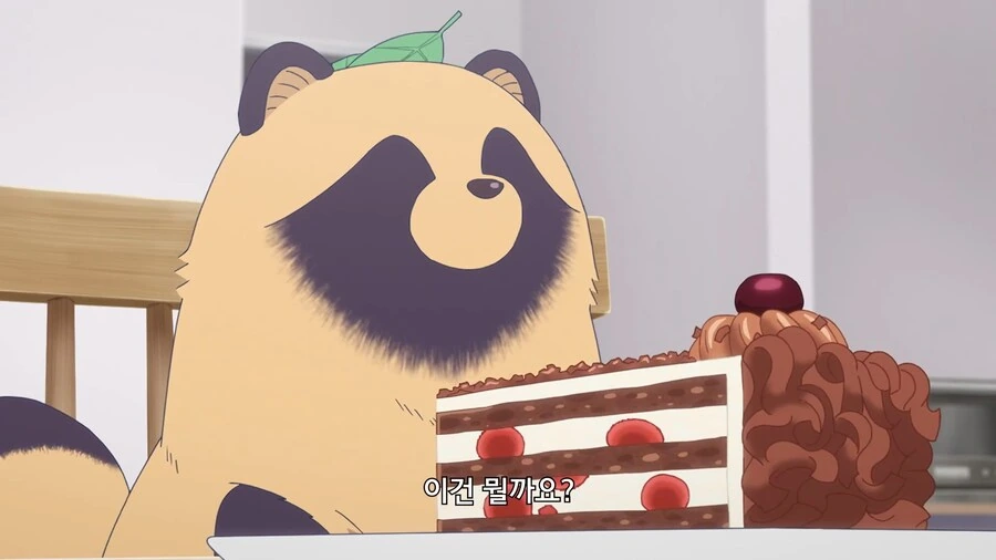 비와너와]이건 뭘까요~?