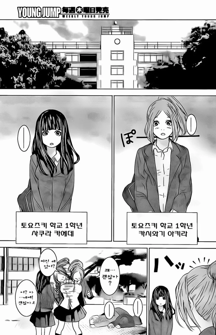 여자아이가 가라데하는 만화 - 이미지 3