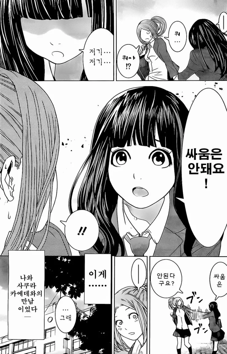 여자아이가 가라데하는 만화 - 이미지 5