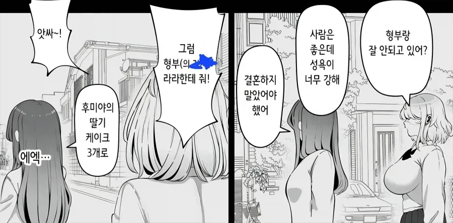 형부와 결혼하는법 manhaw