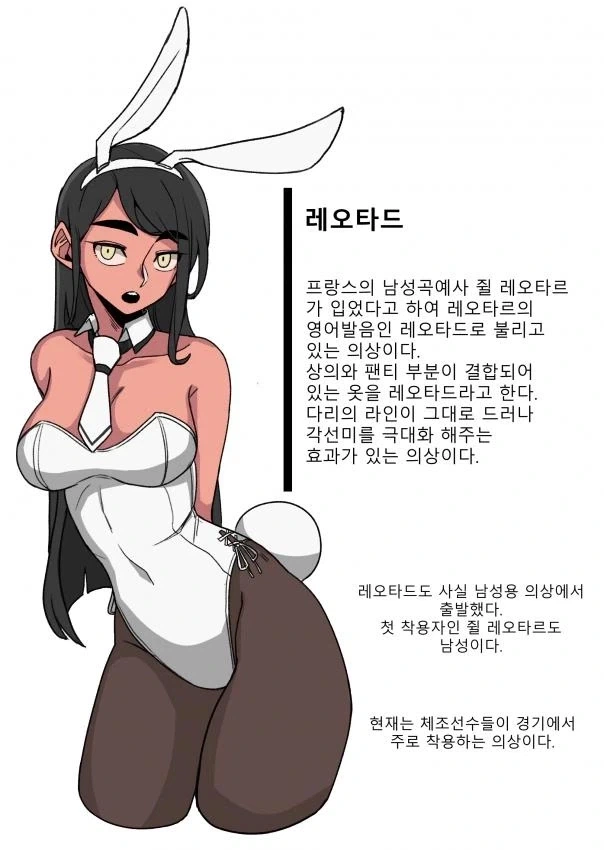 바니걸에 대해 알아보는 만화 - 이미지 9