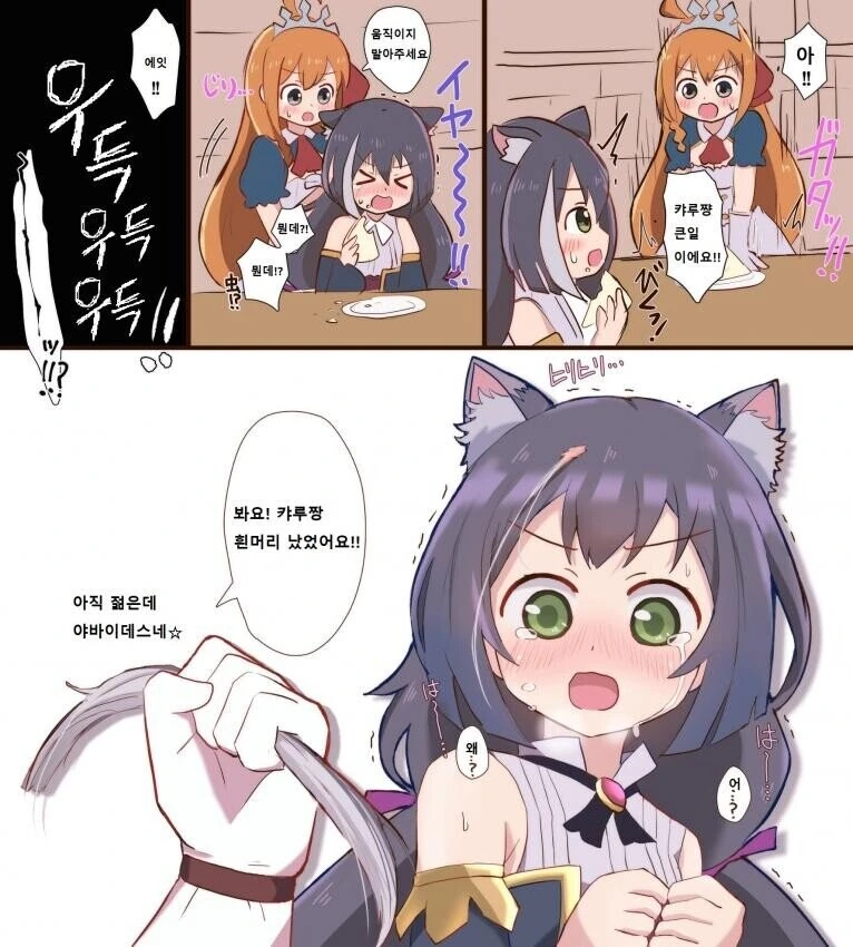 [프리코네] 배신의 대가를 치루는.manhwa