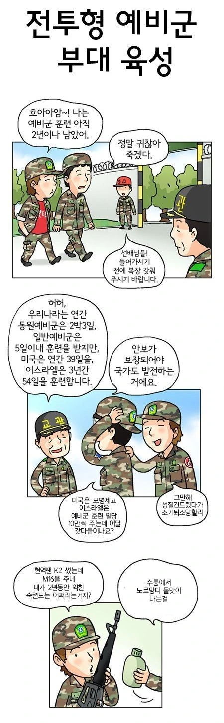 전투형 예비군 육성 만화