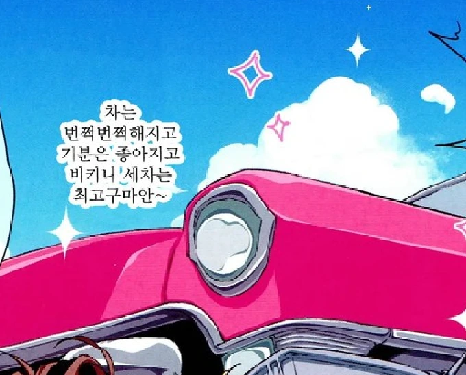 [ㅎㅂ]ㅂㅋㄴ 세차 - 이미지 3