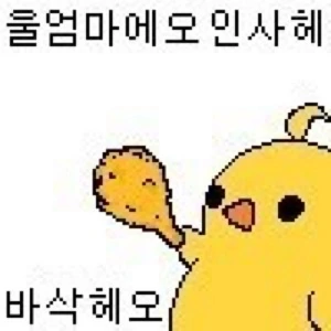 파티피플 공명 - 치킨치킨 반반