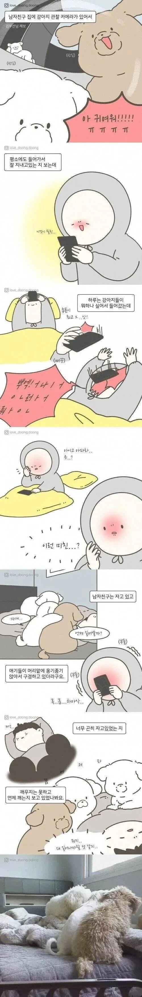 강아지들이 자고 있는 주인을 안 깨우는 만화
