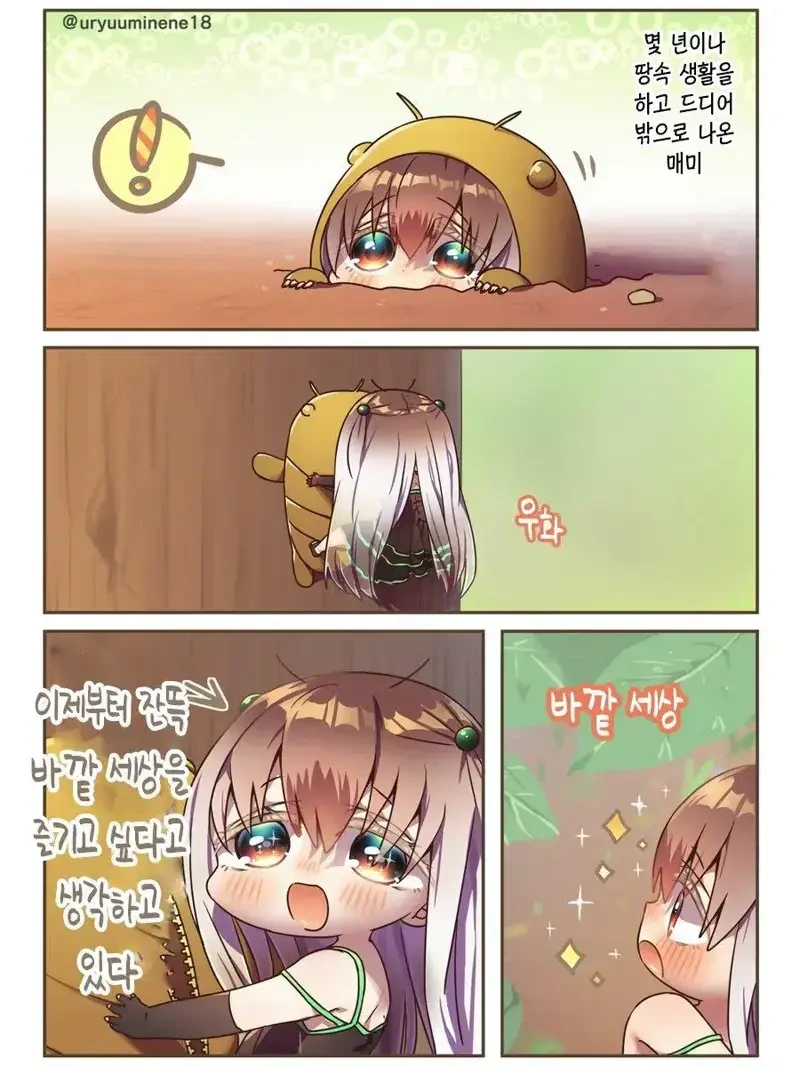 매미가 우는 만화