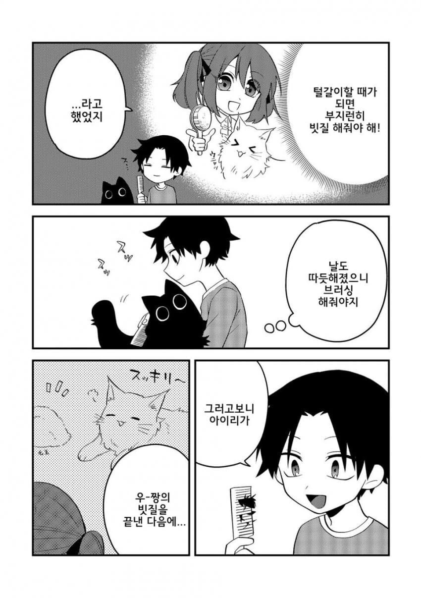 고양이 빗질해주는 만화 - 이미지 2