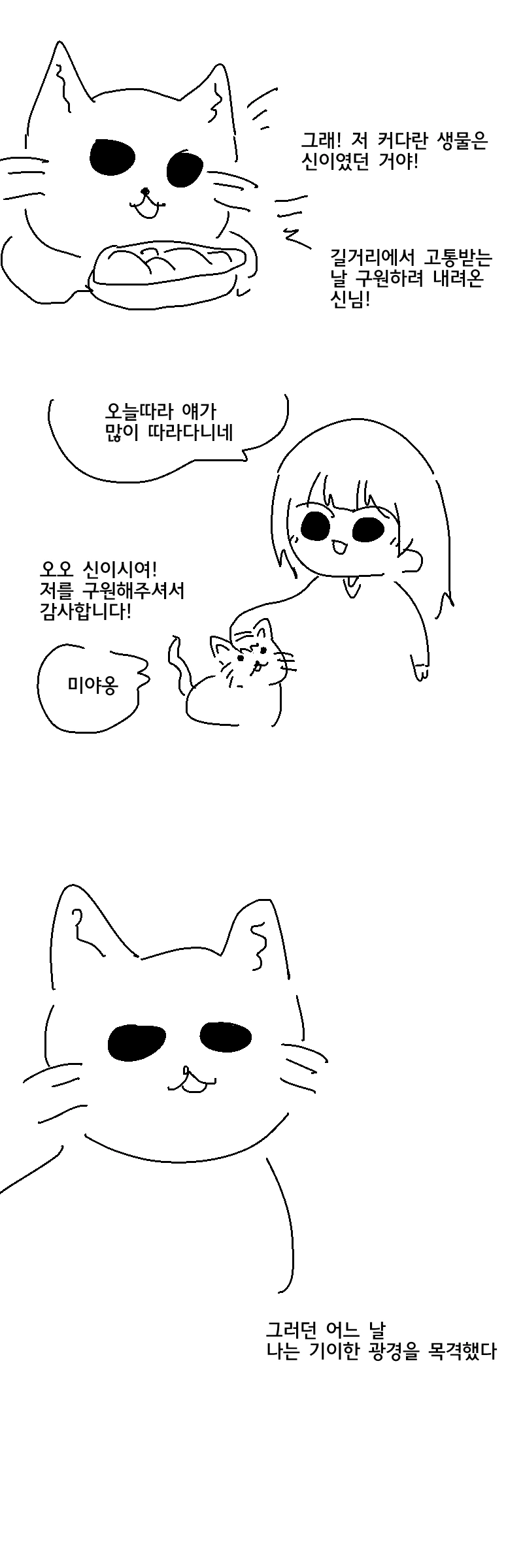 작가가 고양이를 모르는 만화.manwha - 이미지 2