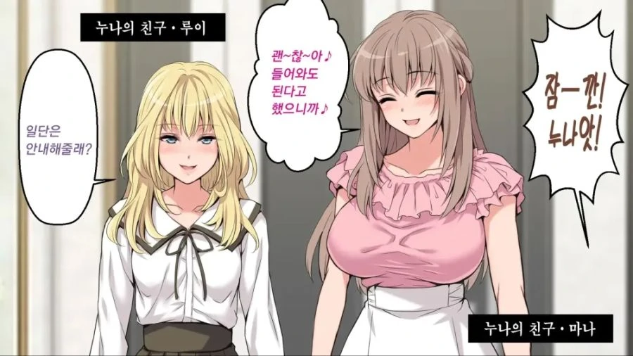 이쁜 누나들이 놀러오는 만화
