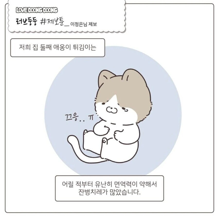 약먹기 싫은 고양이.manhwa