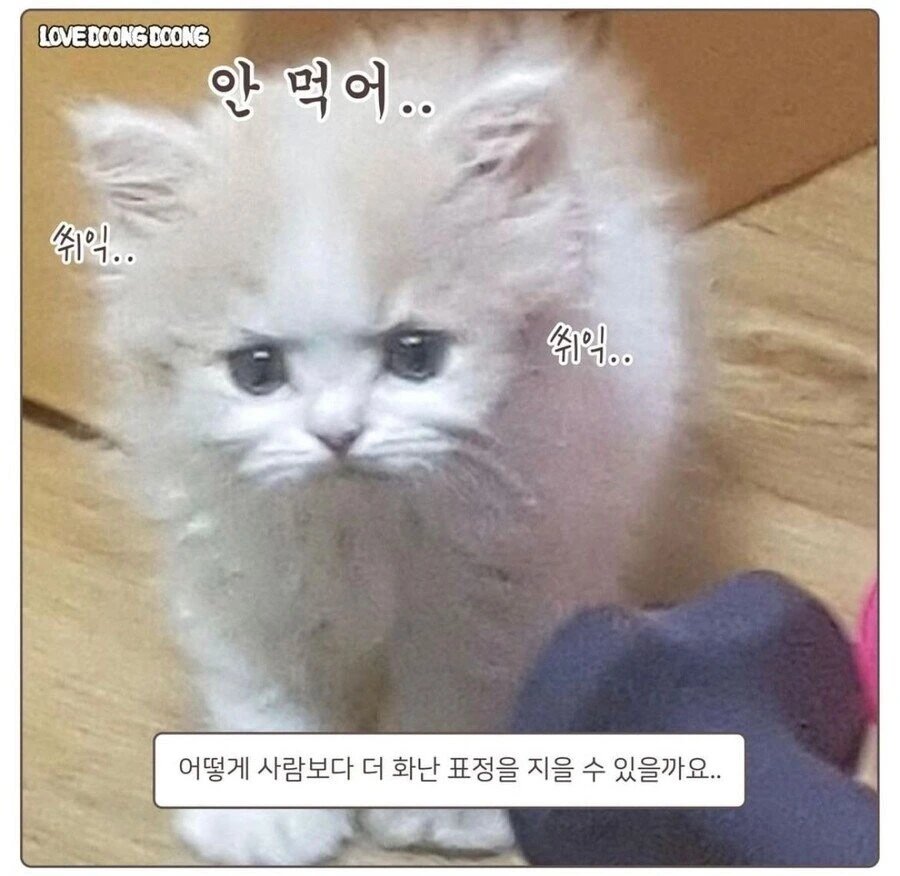 약먹기 싫은 고양이.manhwa - 이미지 6