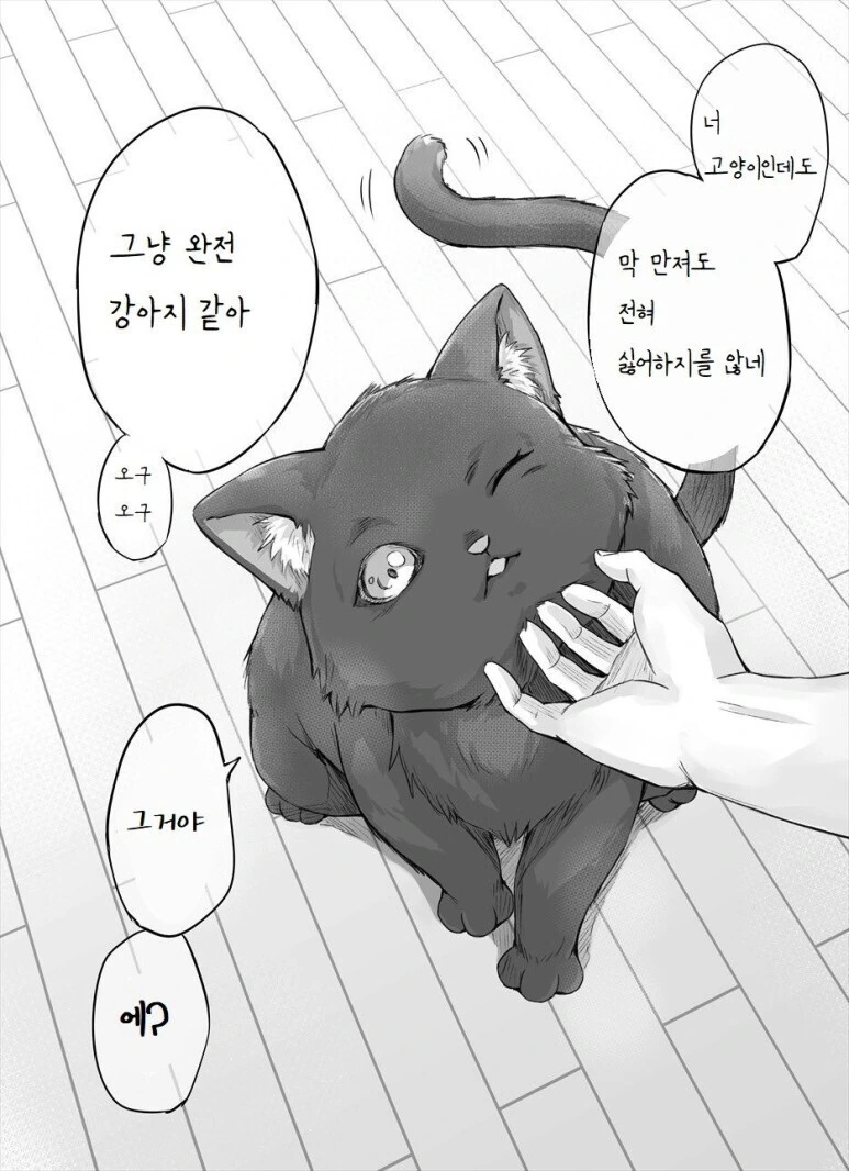 고양이 바이럴 만화.manga - 이미지 3