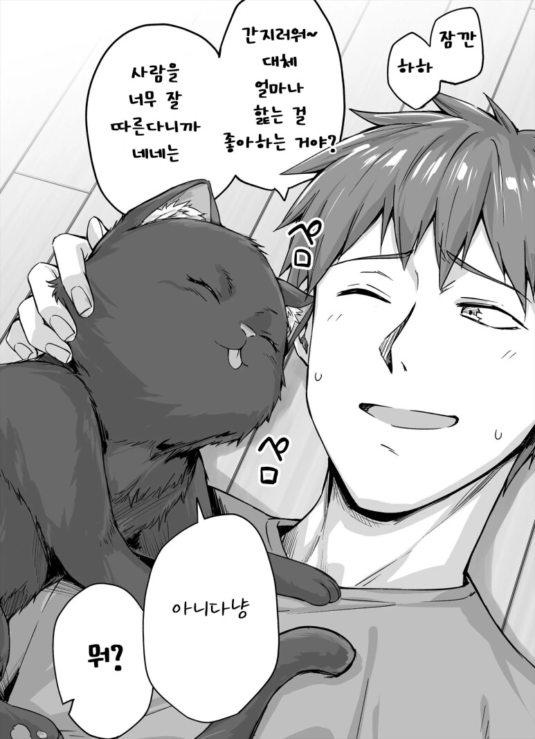고양이 바이럴 만화.manga - 이미지 13