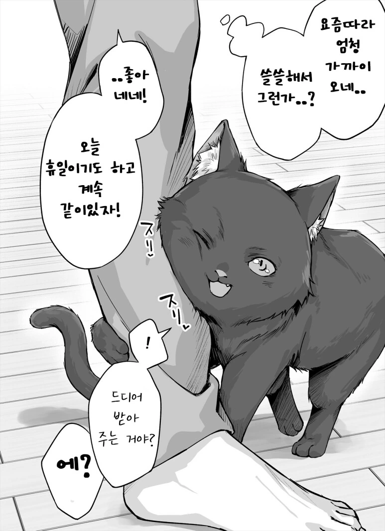 고양이 바이럴 만화.manga - 이미지 15