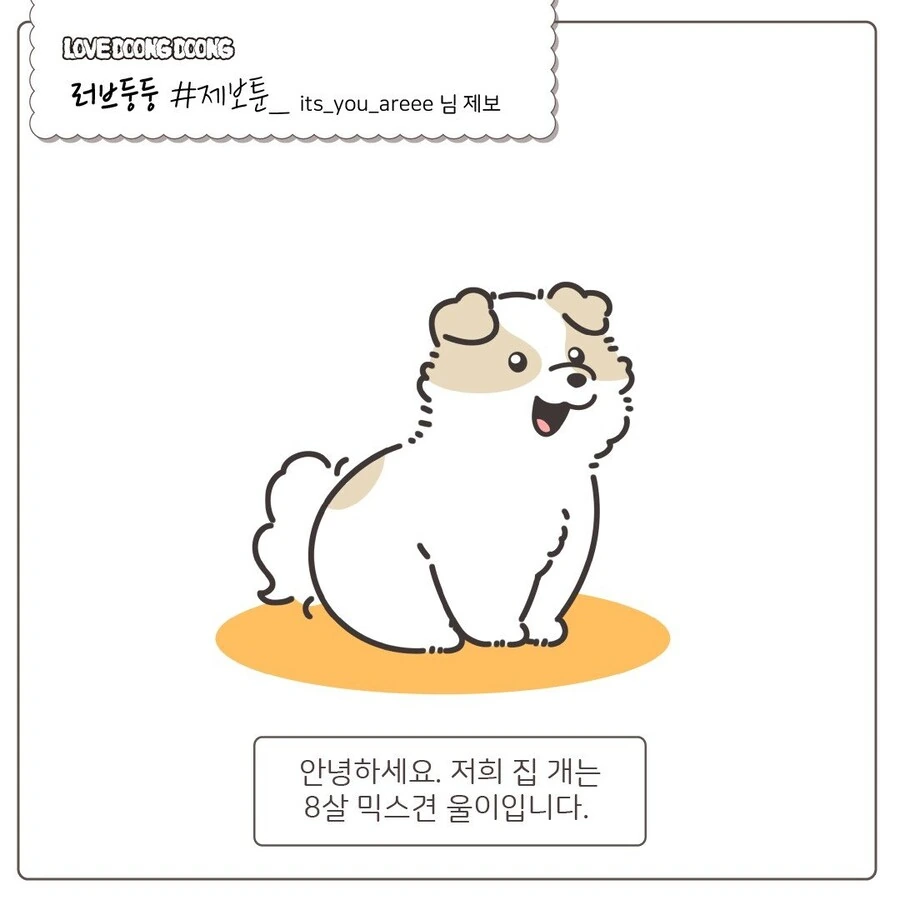 강아지 억지로 깨워서 밤산책 하는.manhwa