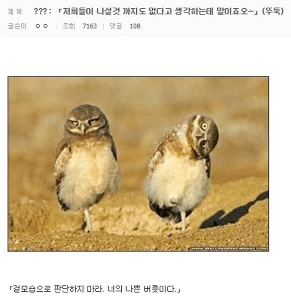 흔한 일본 만화 악당들 대사.jpg