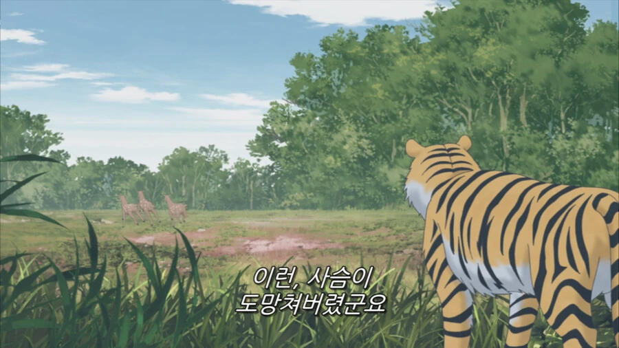 사냥에 실패한 호랑이의 표정