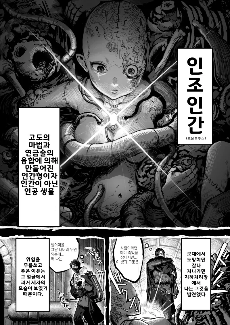 호문쿨루스를 잘못 키워버린 만화