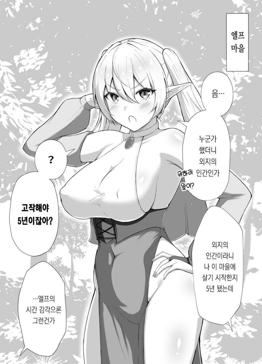 츤데레 엘프가 메가데레로 결혼하는.manhwa