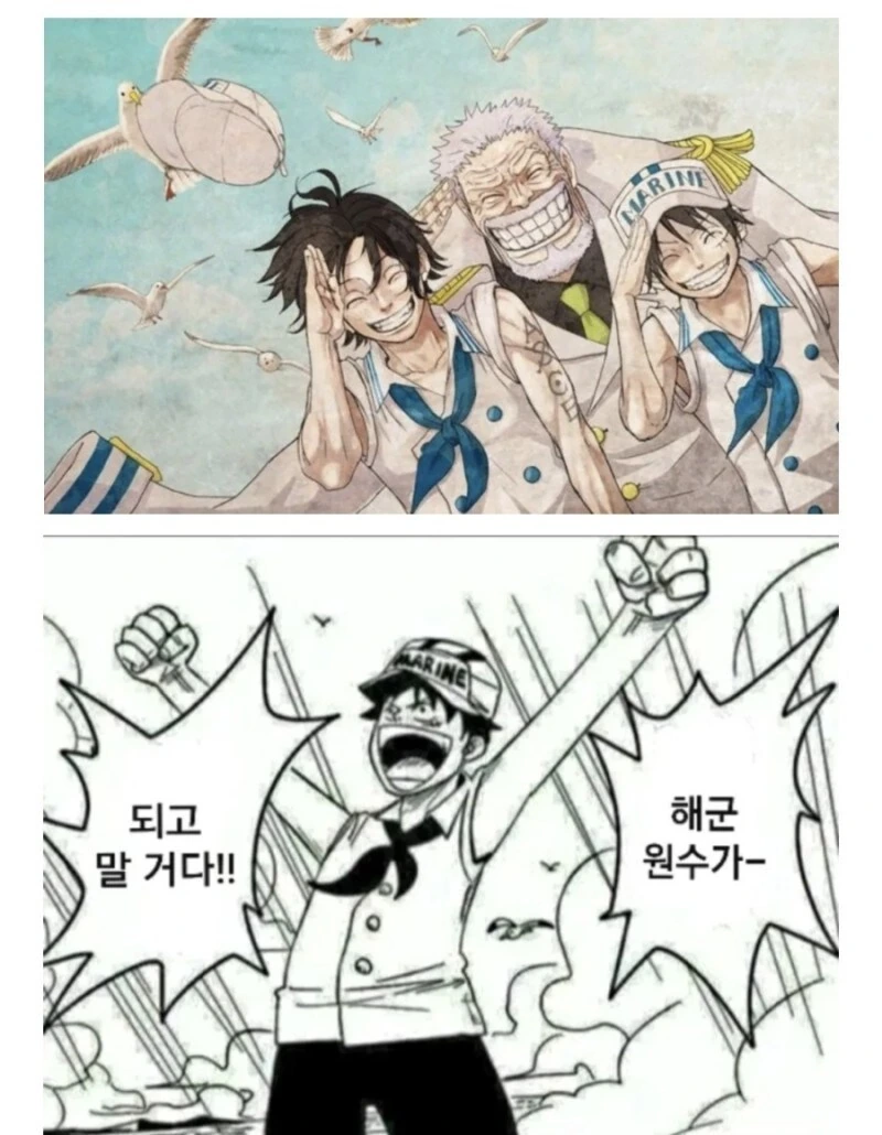 원피스)루피 해군왕 루트