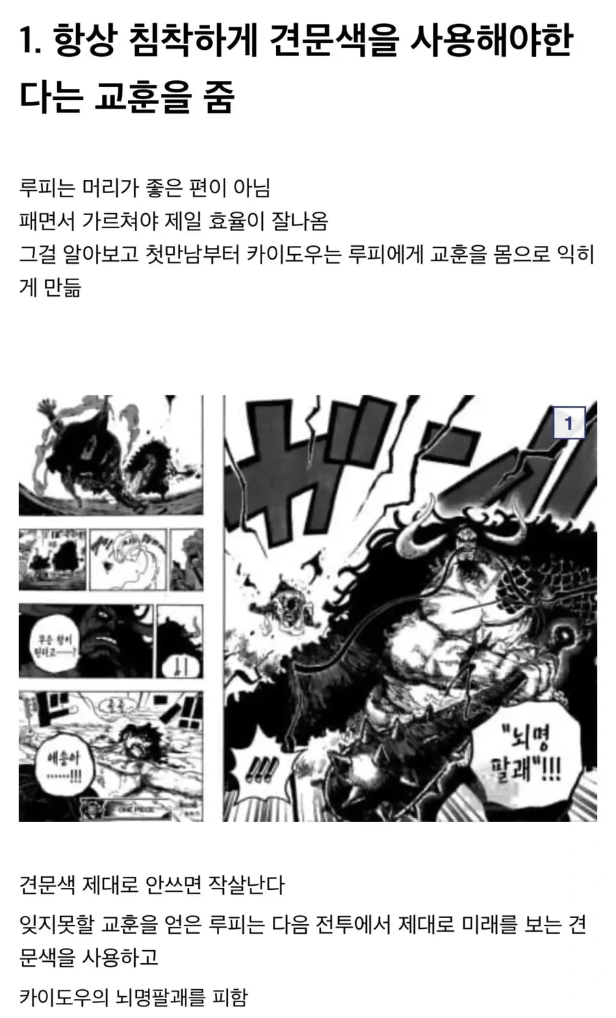 원피스) 찐스승 카이도