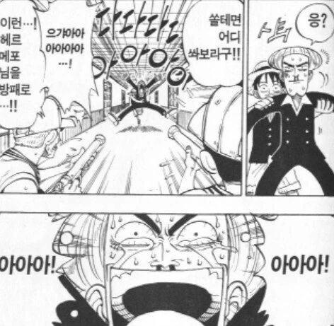 [원피스]방패를 세운 루피