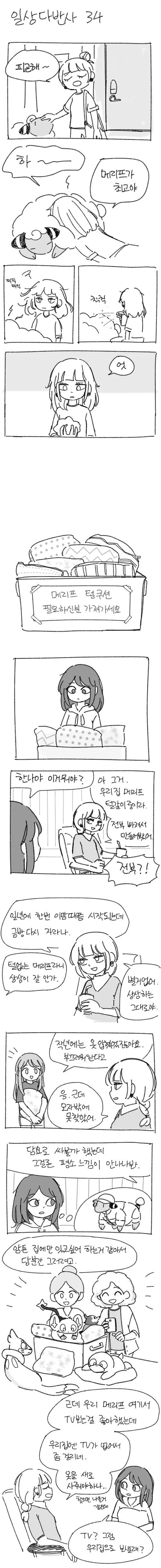 포켓몬)메리프가 털갈이하는.manhwa