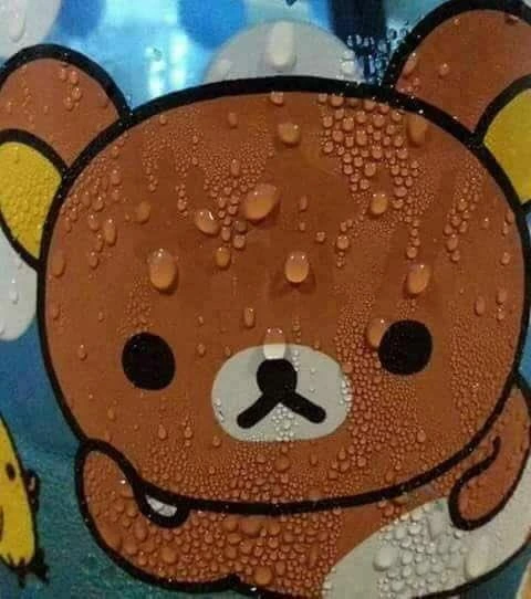 토깽이 수인 만화 - 이미지 5