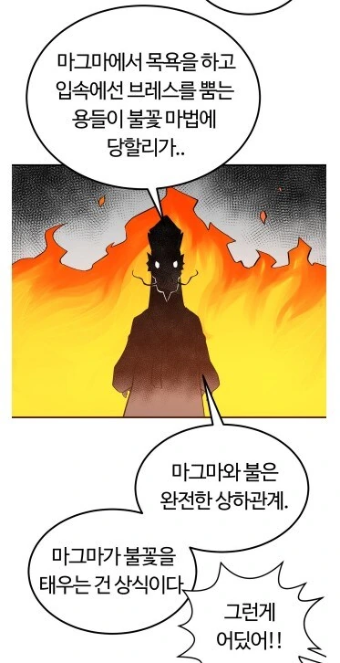 마그마가 불을 태우는건 상식이잖아?
