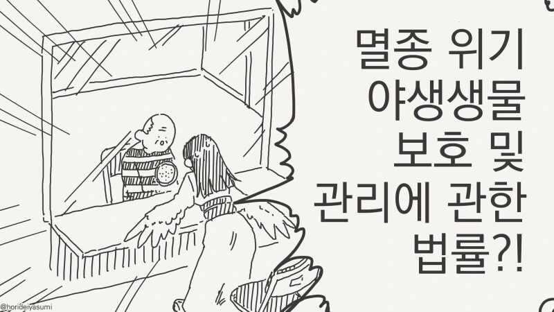 합법인 줄 알았는데 불법이었던.manhwa - 이미지 8