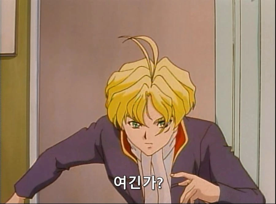 무술 챔피언 란돌