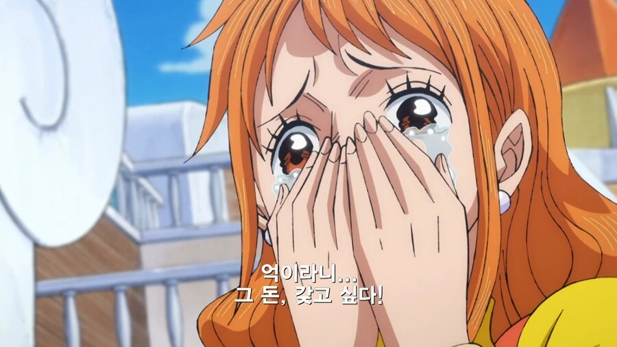 원피스]새로 갱신된 밀짚모자 해적단 수배서 - 이미지 8