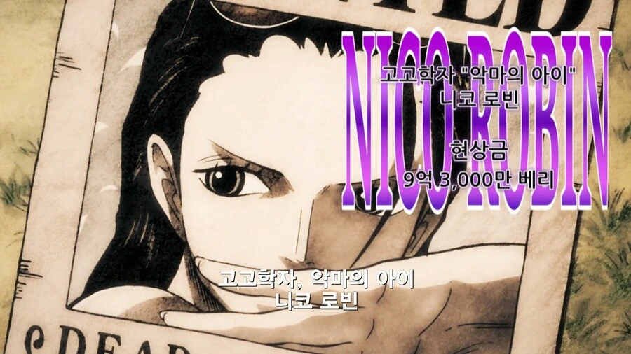 원피스]새로 갱신된 밀짚모자 해적단 수배서 - 이미지 13