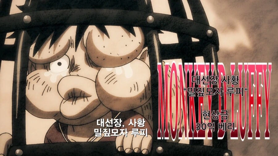 원피스]새로 갱신된 밀짚모자 해적단 수배서 - 이미지 20
