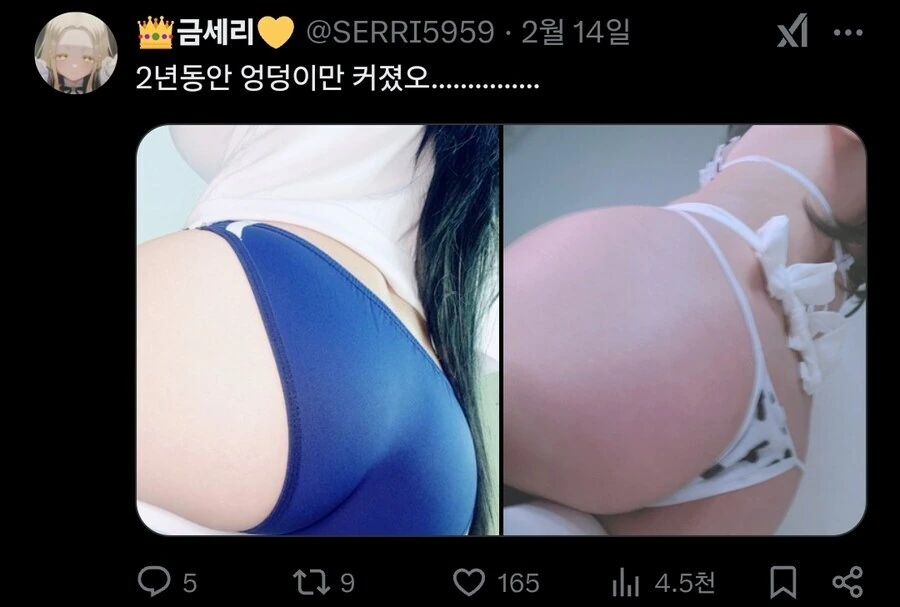버큐버) 뱃살이 나와 일레그를 코스프레한 어느 버튜버 - 이미지 2