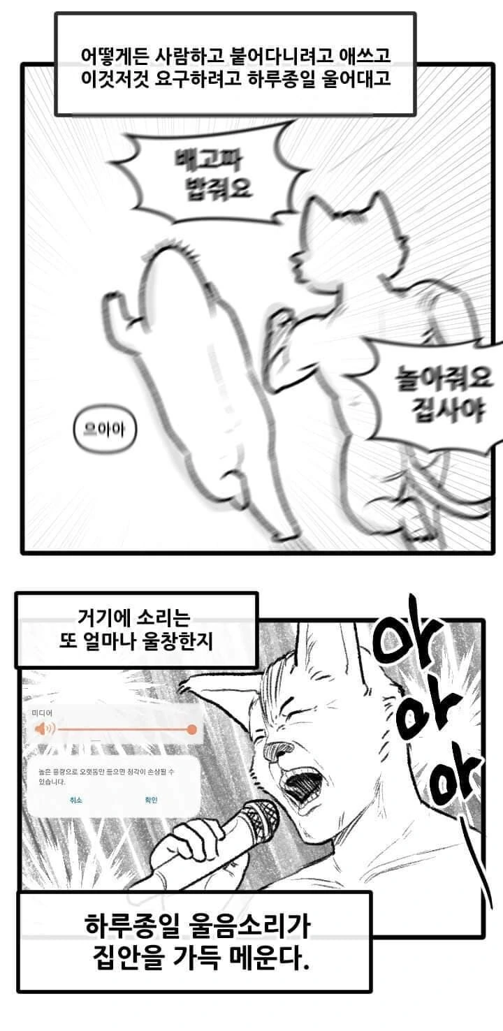 산책 가고 싶은 고양이 manhwa - 이미지 3