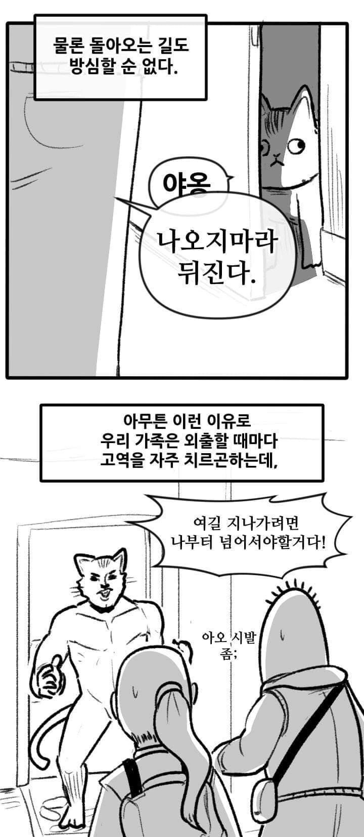 산책 가고 싶은 고양이 manhwa - 이미지 9