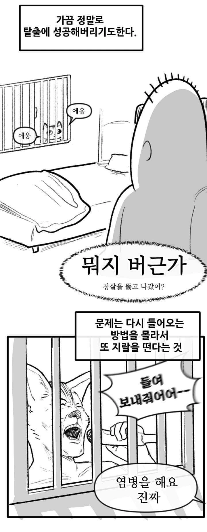 산책 가고 싶은 고양이 manhwa - 이미지 11